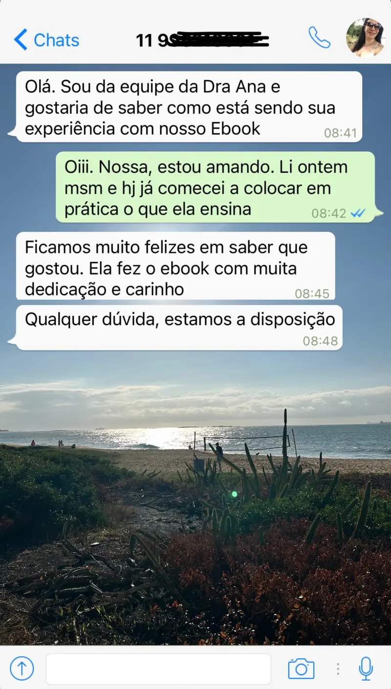 Conversa de WhatsApp com leitora do e-book 1