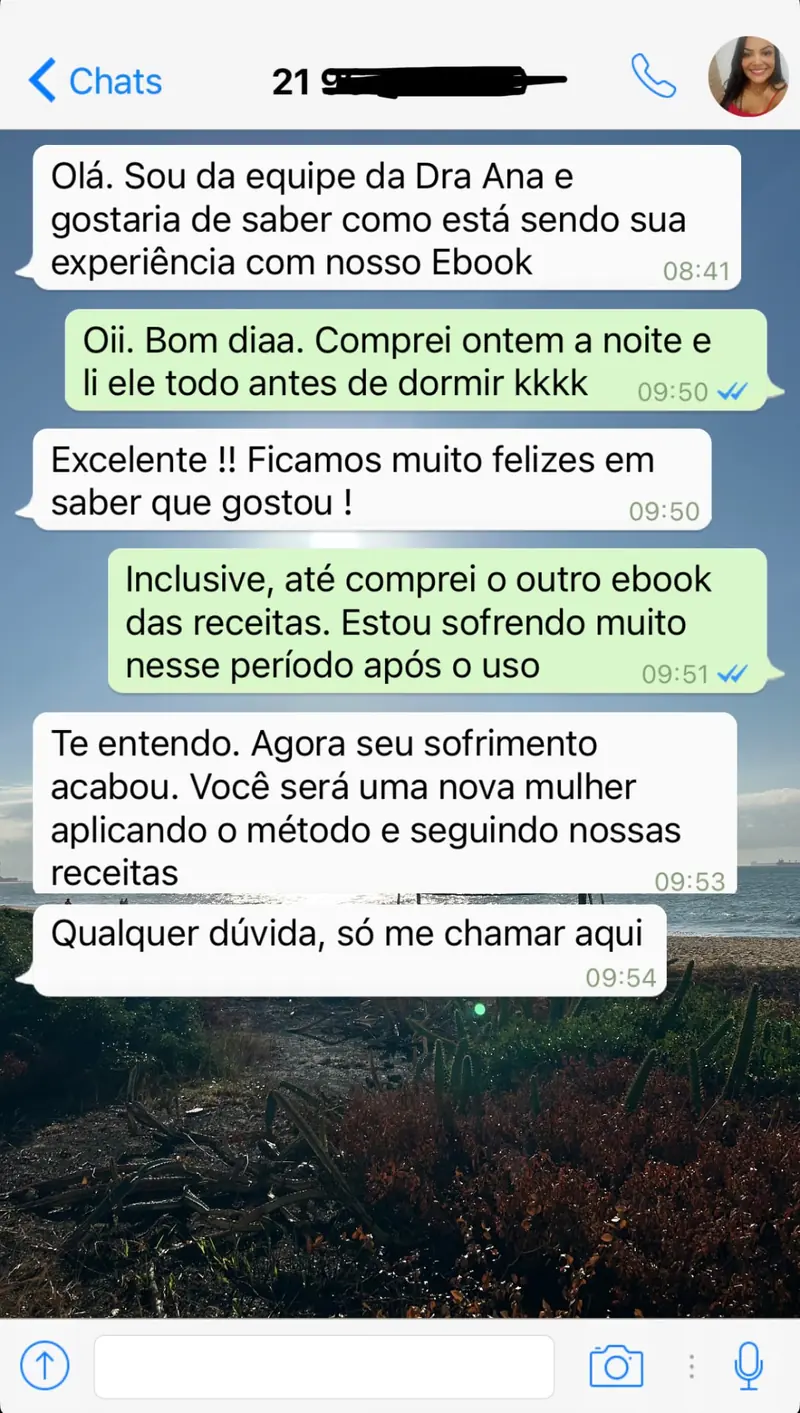 Conversa de WhatsApp com leitora do e-book 2